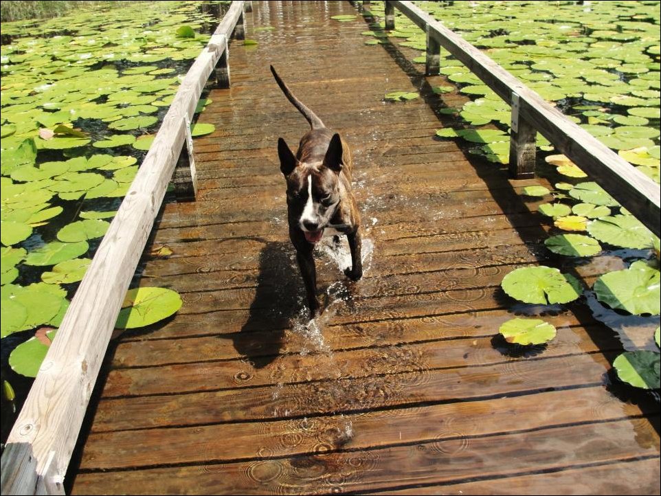 Подборка фотографий