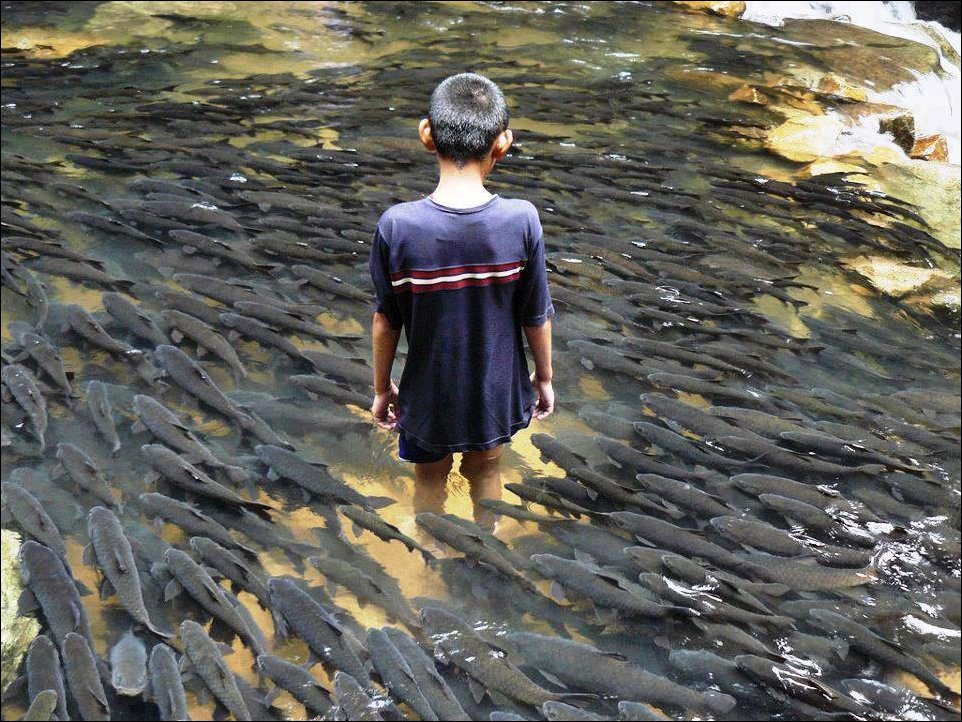 Подборка фотографий