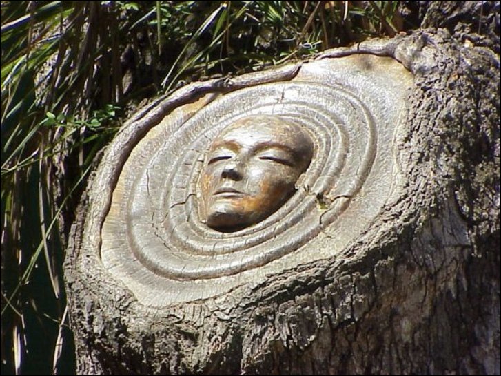 Духи деревьев