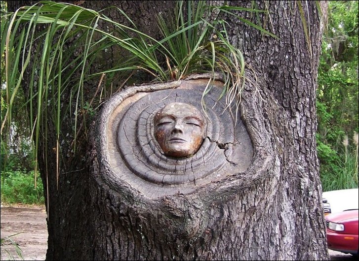 Духи деревьев