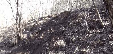 Прикольные гифки