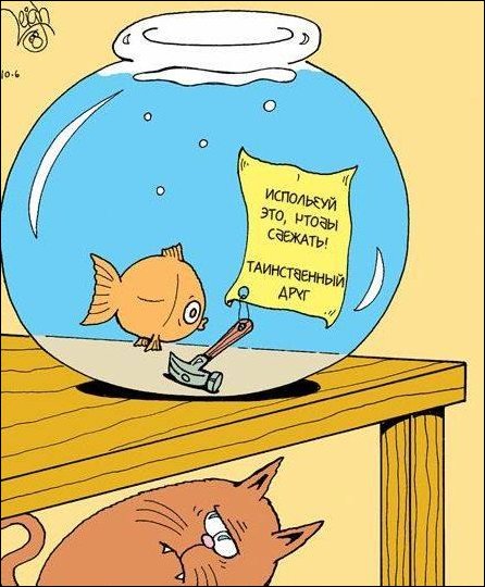 Комиксы и карикатуры