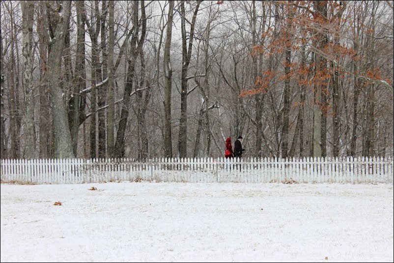 Зеркальный забор