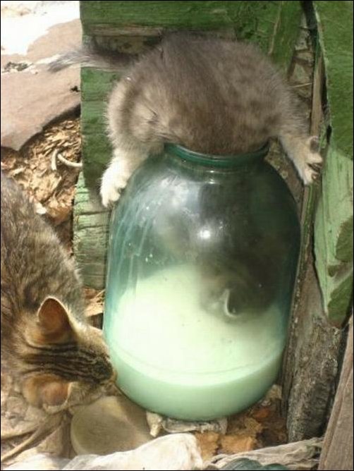 Подборка фотографий