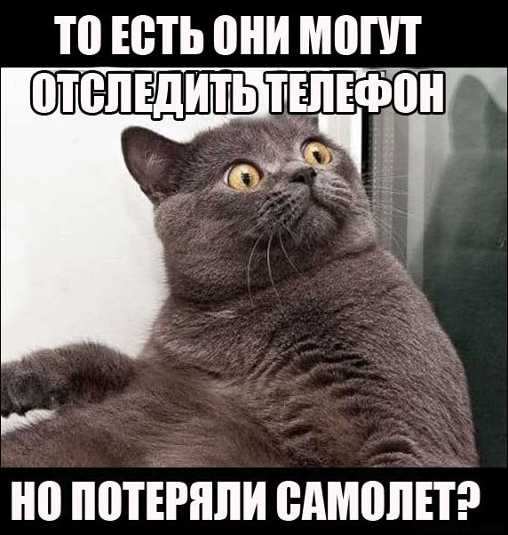 Подборка фотографий