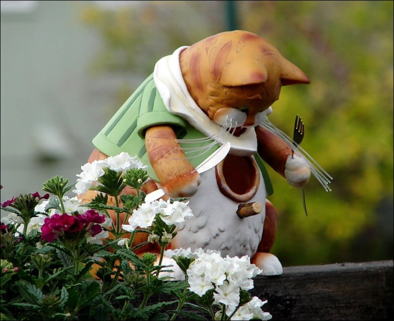 Подборка фотографий