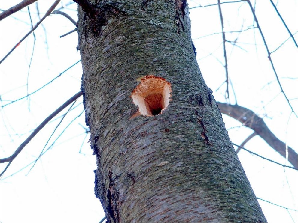 Подборка фотографий