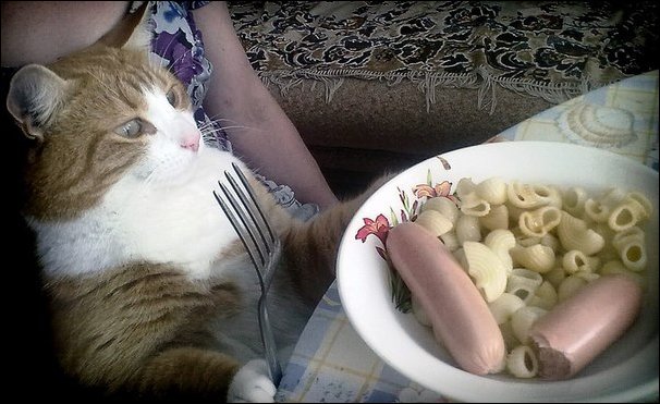 Подборка фотографий