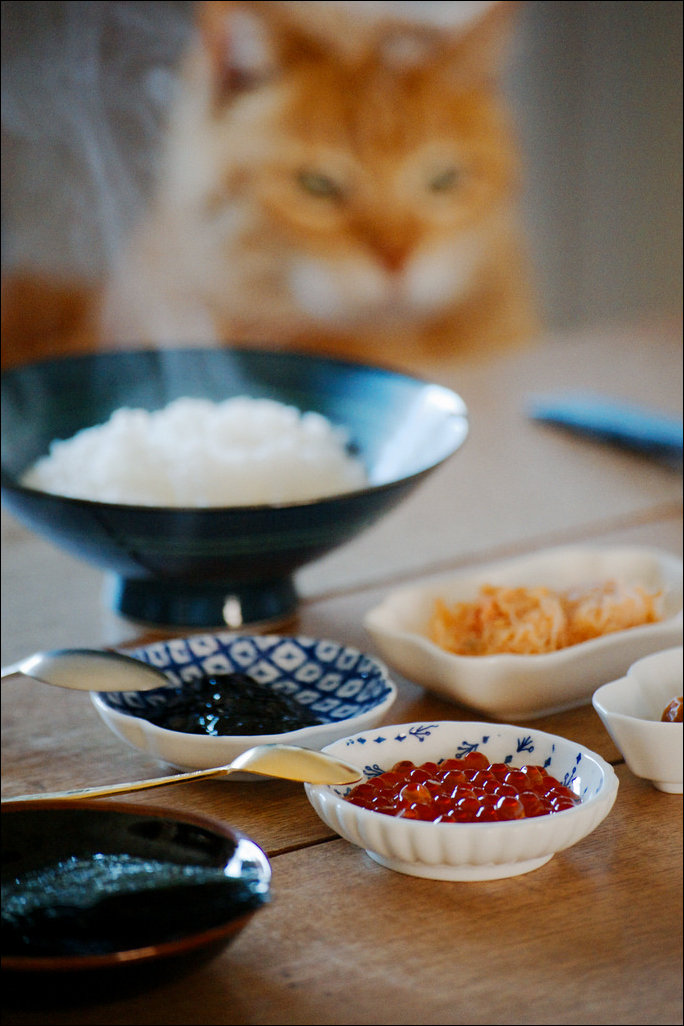 Подборка фотографий