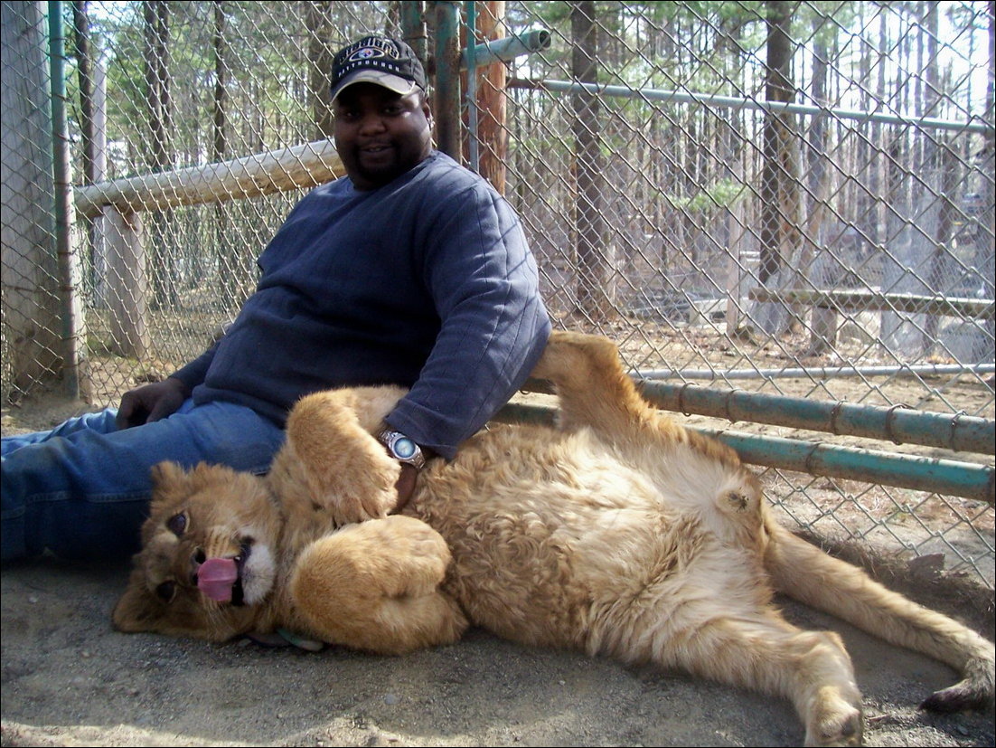 Подборка фотографий