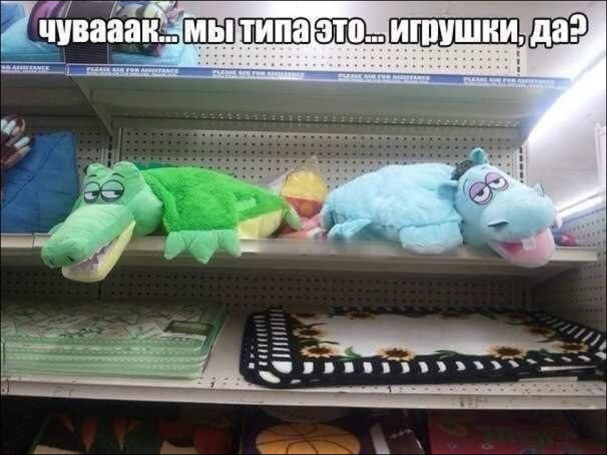 Подборка фотографий