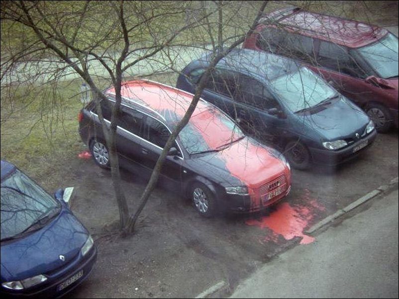 Подборка фотографий