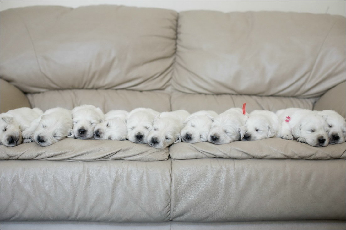 Подборка фотографий