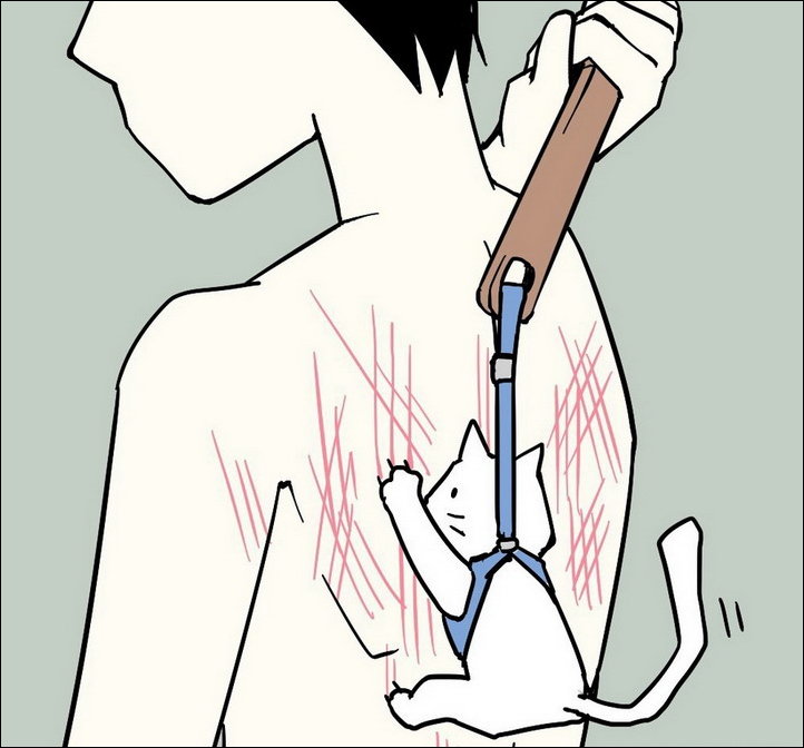 Подборка фотографий