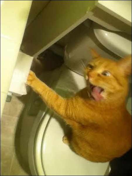 Подборка фотографий