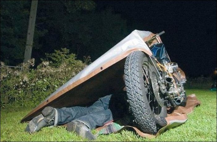 Подборка фотографий