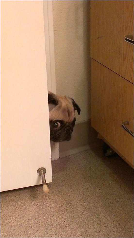 Подборка фотографий