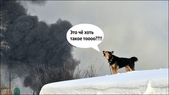 Подборка фотографий