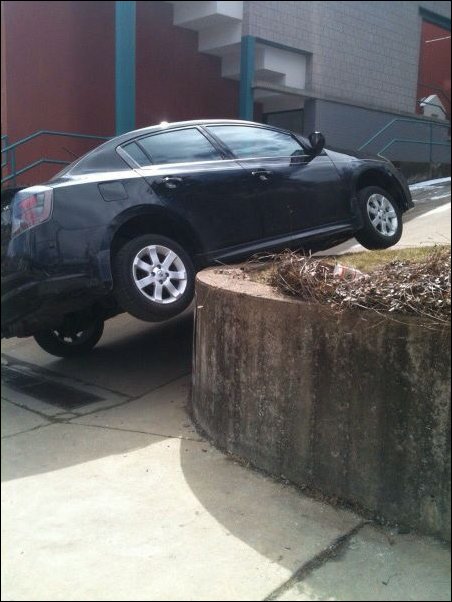 Подборка фотографий