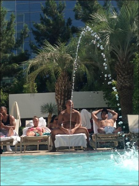 Подборка фотографий