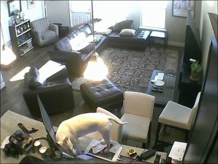 Подборка фотографий