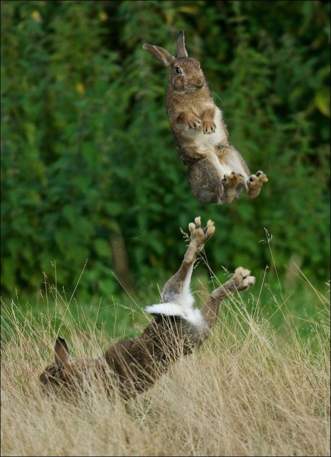 Фото сделанное в нужный момент