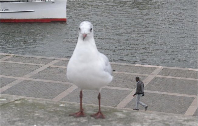 Фото сделанное в нужный момент