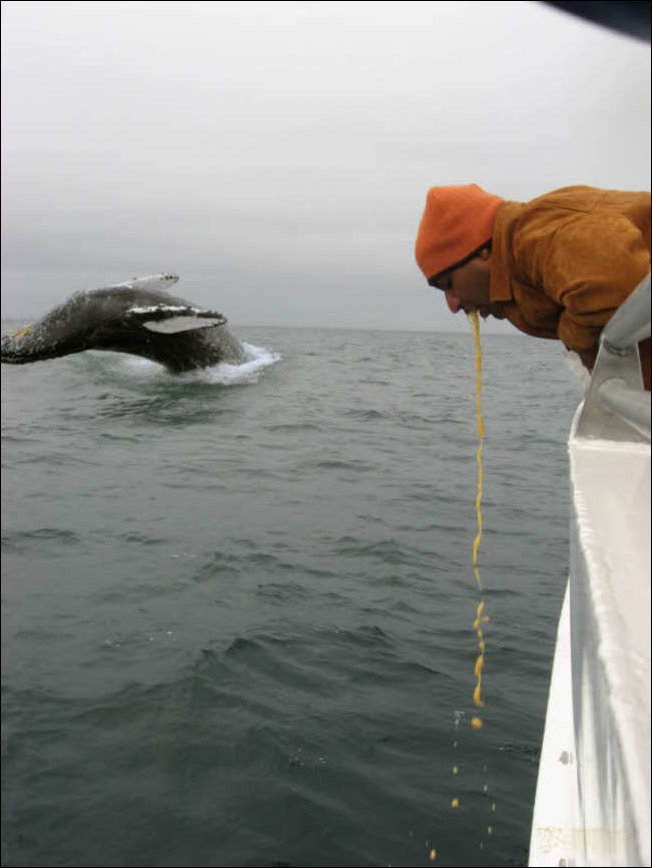 Фото сделанное в нужный момент
