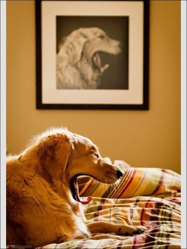 Фото сделанное в нужный момент