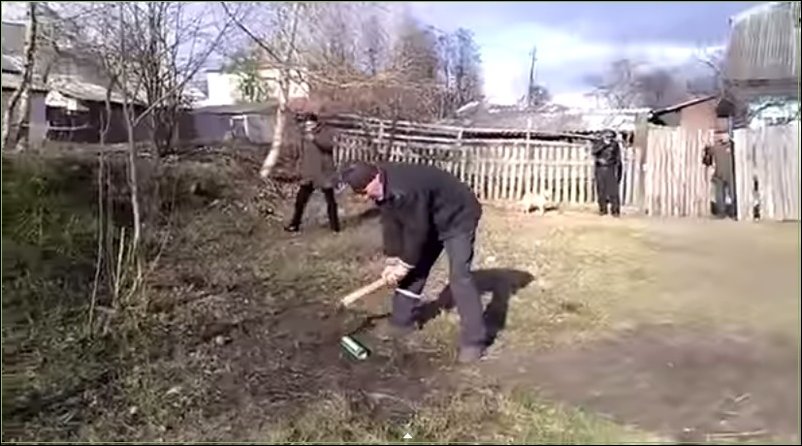 Любопытство