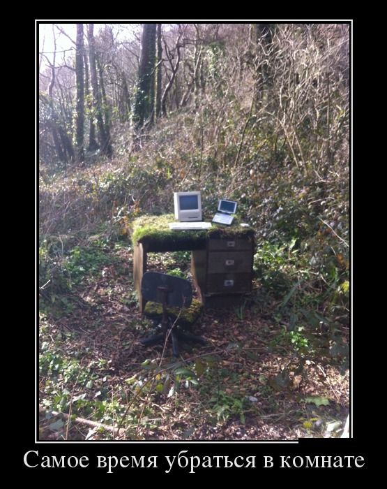 Демотиватор