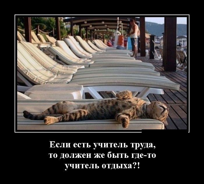 Демотиватор