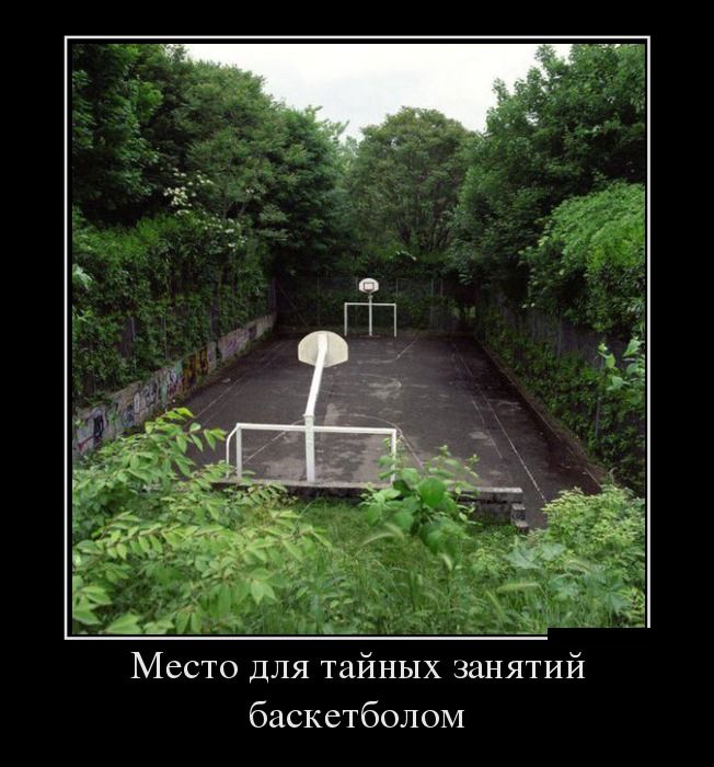 Демотиватор