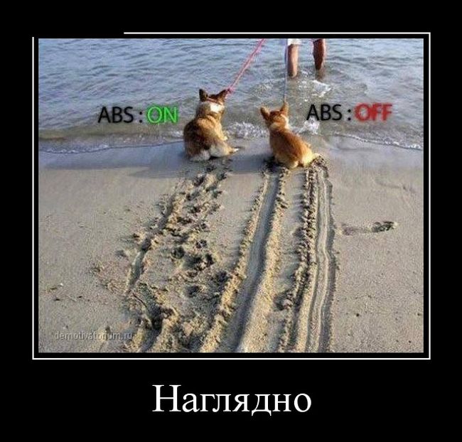 Демотиватор