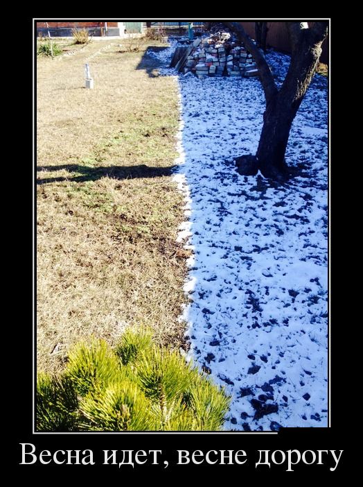 Демотиватор