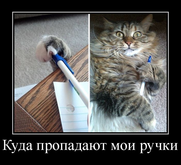 Демотиватор