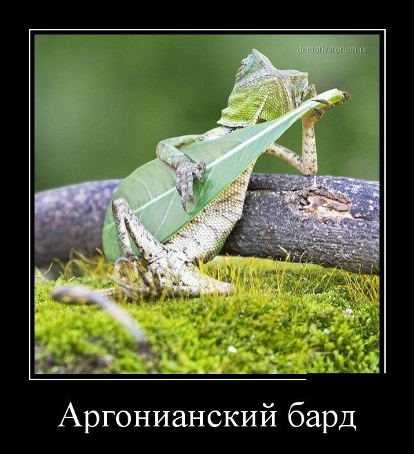 Демотиватор