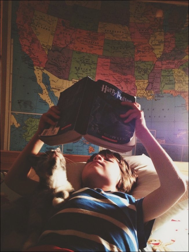 Коты и дети