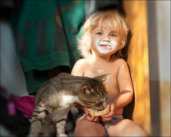 Коты и дети