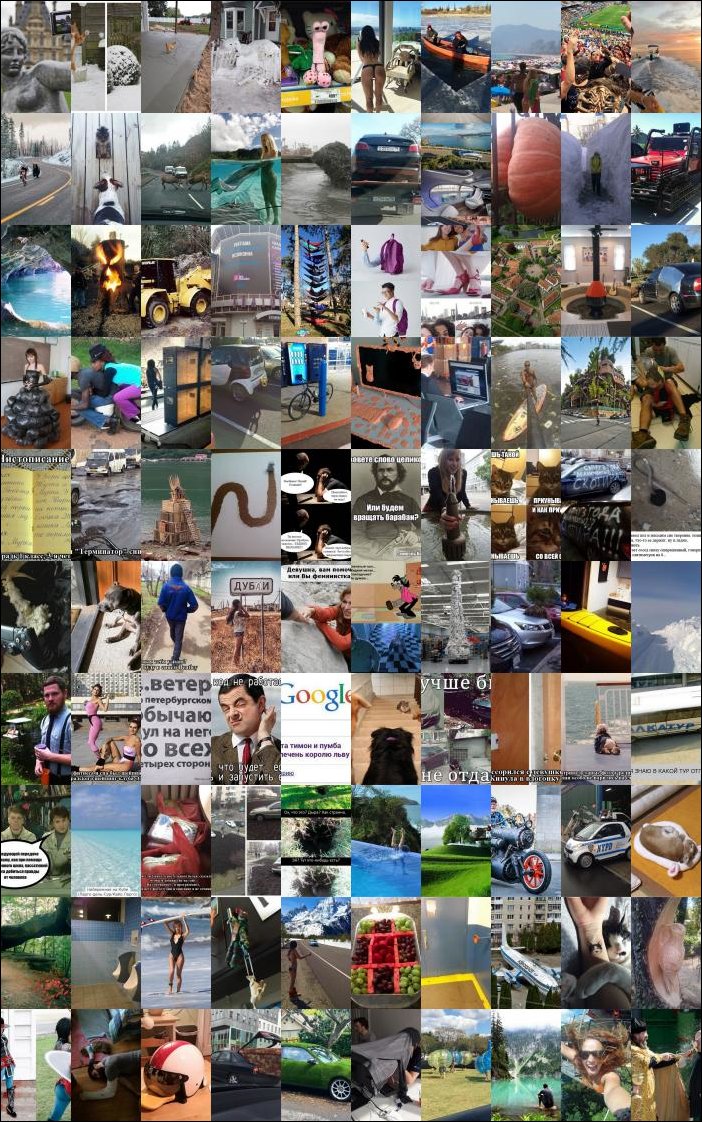 фото-приколы