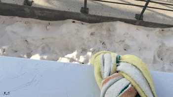 Прикольные гифки