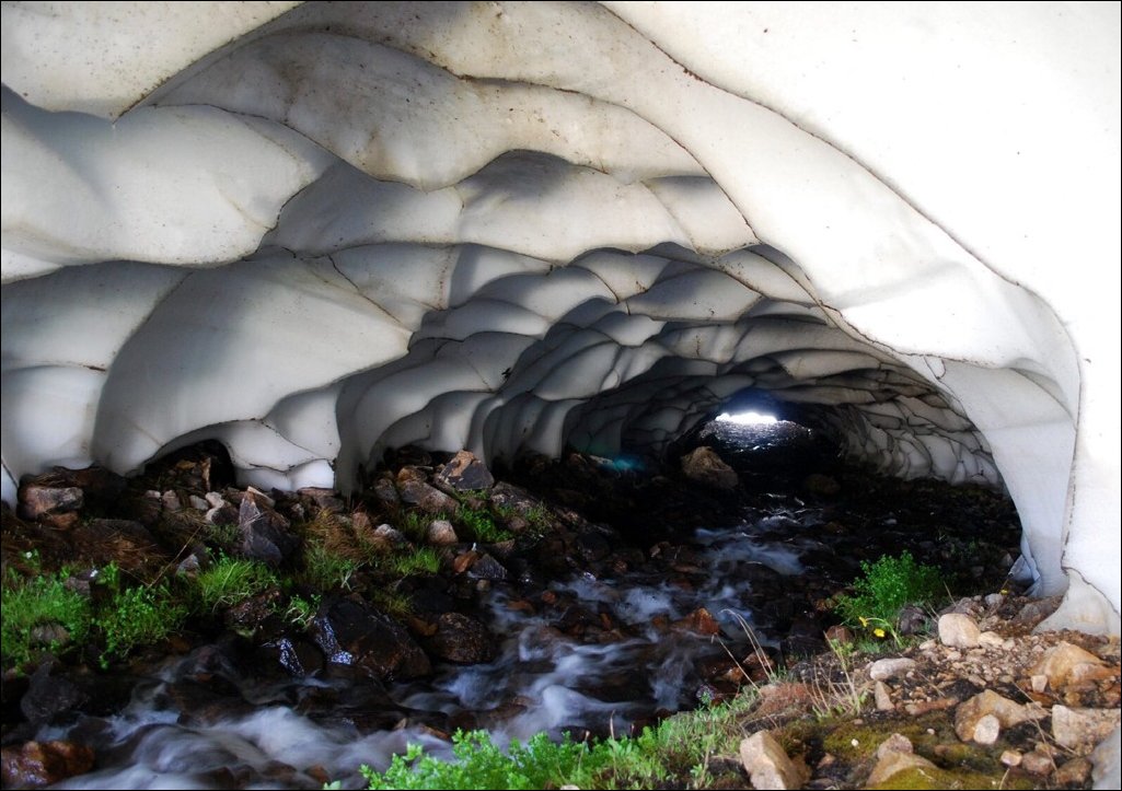 Фотоприколы