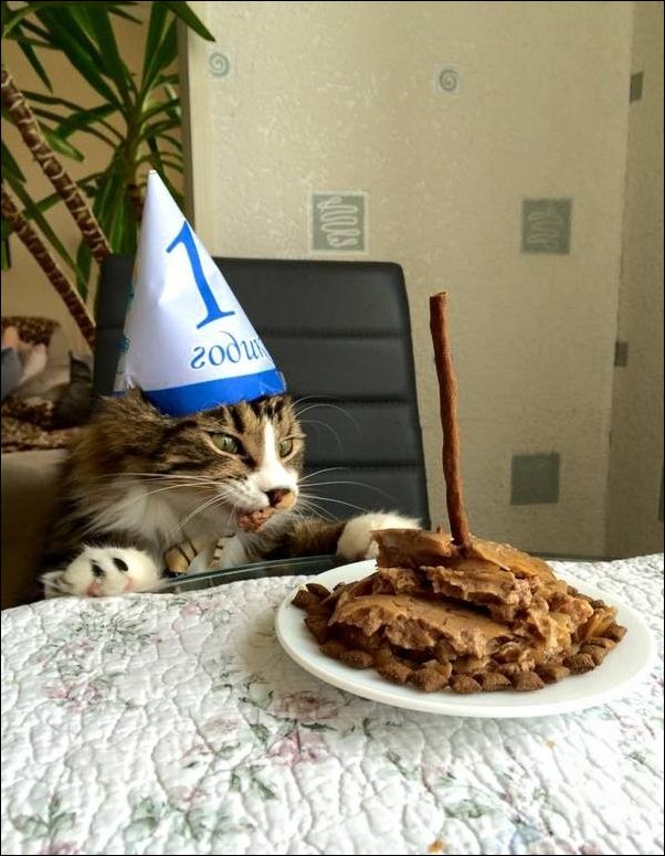 Фотоприколы