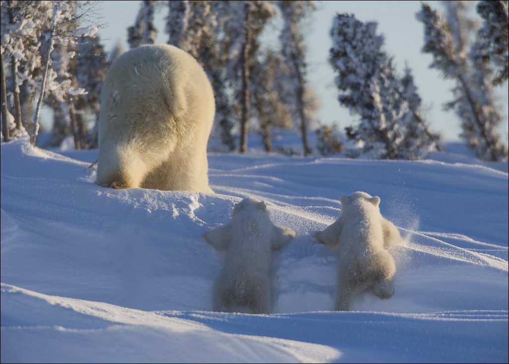 Фотоприколы