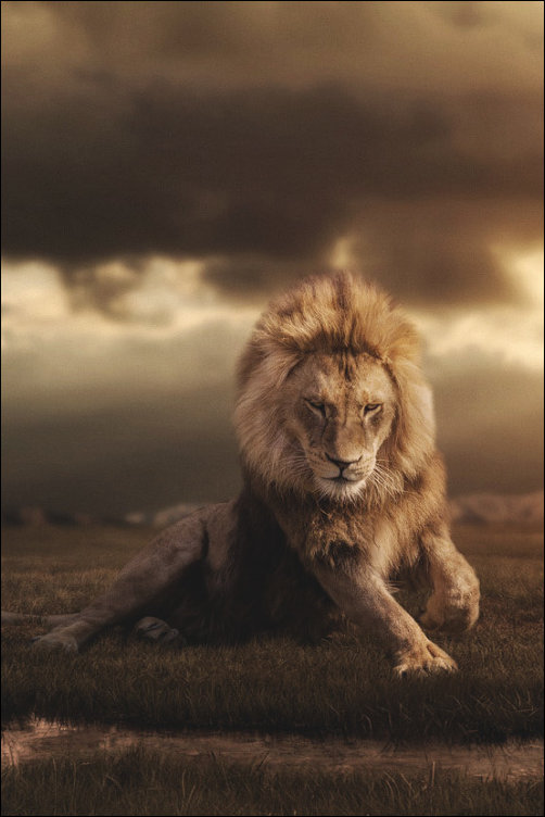 Фотоприколы