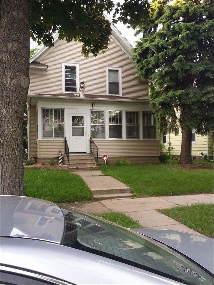 Фотоприколы