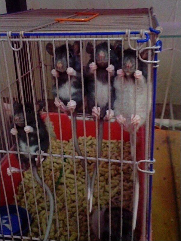 Фотоприколы