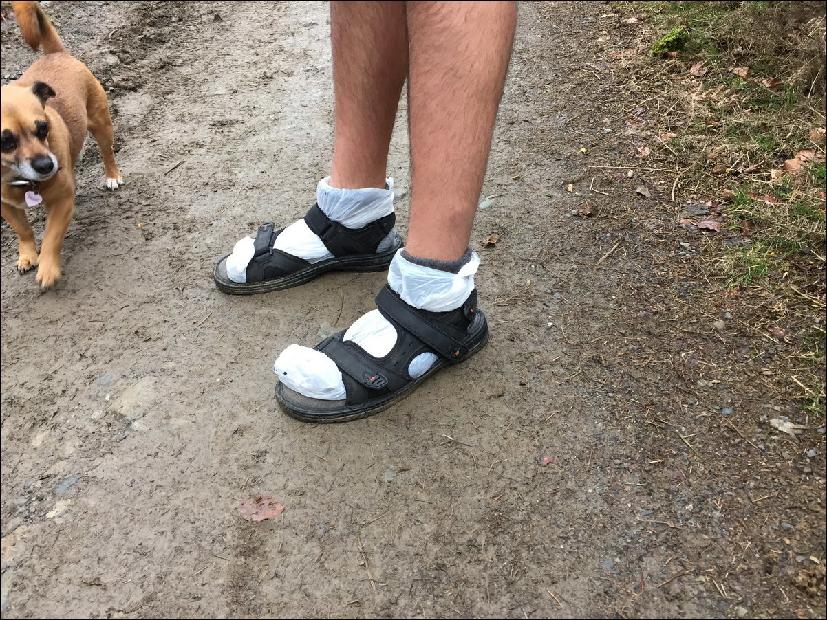 Фотоприколы