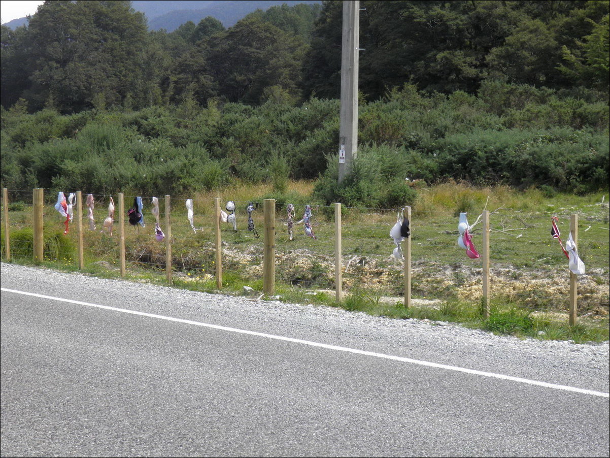 Фотоприколы