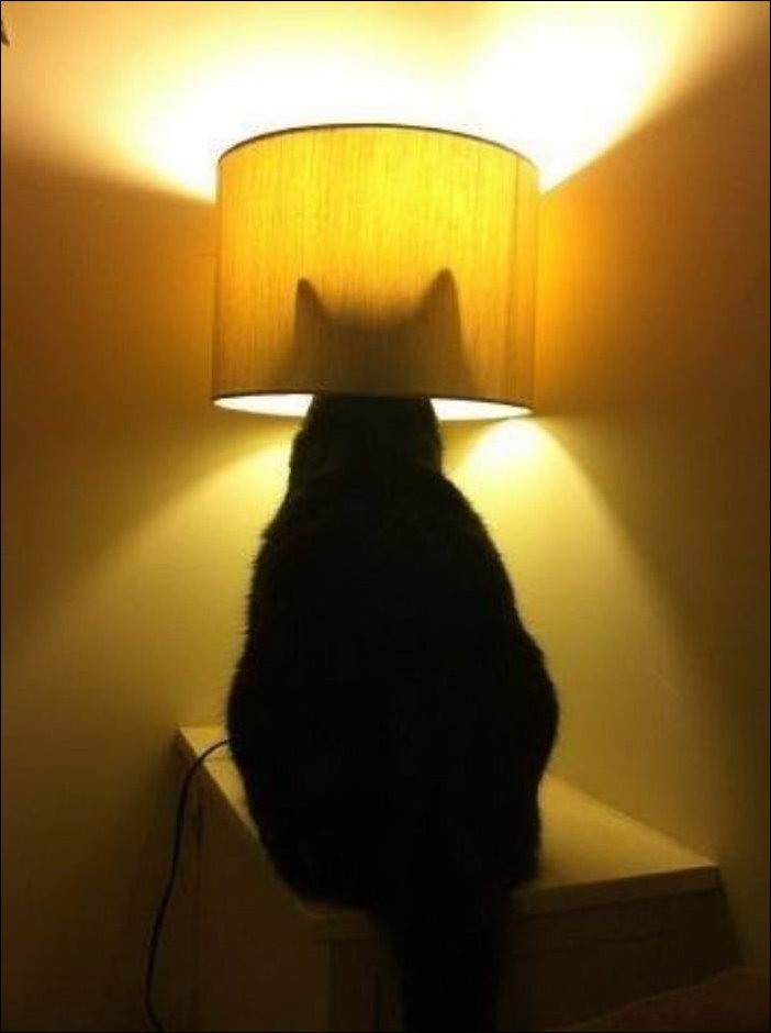 Фотоприколы